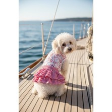 Feyza Design Şık ve Rahat Navy Renk Küçük Irk Köpek Elbisesi, Tarzınıza Uyum Sağlar