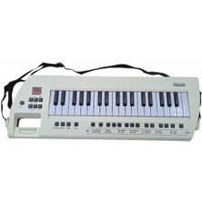 Mavi Su Dünyası 37 Tuşlu Pilli USB Kablolu Mikrofonlu Piano