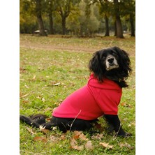 Feyza Design Kırmızı Sweatshirt, Rahat ve Şık, Günlük Kullanım Için Ideal