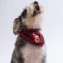 Feyza Design Renkli Ekose Desenli Köpek ve Kedi Bandanası, Eğlenceli Tasarım