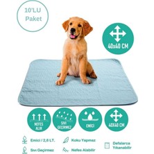 Feyza Design Yıkanabilir Emici Köpek Pedi 10'lu Paket, Yeşil, 40X40CM