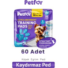 Feyza Design Kaydırmaz Köpek Eğitim Pedi, 60X90 Cm, 60 Adet, Rahat ve Güvenli Kullanım