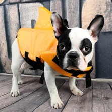 Feyza Design Yeşil Köpek Can Yeleği, Rahat ve Güvenli Beden M