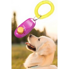Feyza Design Köpek Eğitim Clicker Tasma Tuvalet Eğitimi Için Kullanılabilir