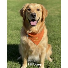 Feyza Design Şık Nakış Desenli Köpek Bandanası, Rahat ve Trend Tasarım
