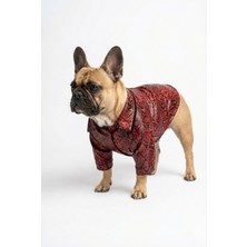 Feyza Design Kırmızı Yılan Desenli Rüzgar Geçirmez Biker Köpek Deri Ceket