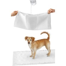 Feyza Design Köpek Çiş Pedi 30'lu Paket, Sızdırmaz ve Hızlı Kuruyan 60X90CM