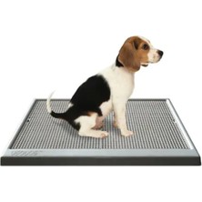 Feyza Design Taşınabilir Köpek Tuvaleti 47X67CM, Rahat ve Pratik Kullanım