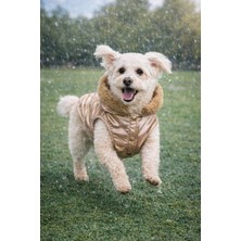 Feyza Design Yumuşak ve Sıcak Kalın Polarlı Küçük Irk Köpek Yeleği