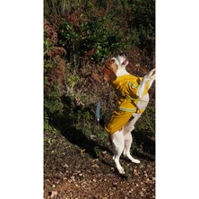 Feyza Design Su Geçirmez Köpek Yağmurluğu, Reflektörlü ve Vücut Sabitlemeli
