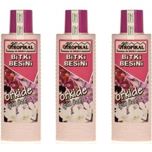 Braventa Collection Orkide Besini x 3 Adet