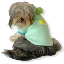 Feyza Design Su Yeşili Kelebek Desenli Kapşonlu Sweat Giyim