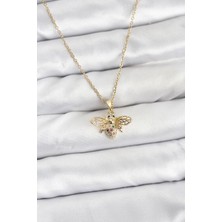 Clariss 316L Çelik Zincir Gold Renk Sinek Model Zirkon Taşlı Kadın Kolye