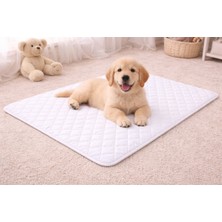 Feyza Design Yıkanabilir Kopitoneli Sıvı Geçirmez Kedi ve Köpek Pedi