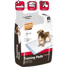 Feyza Design Yavru Köpek Çiş Pedi M 60X40 cm 10'lu, Konforlu ve Temiz Kullanım