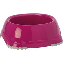 Feyza Design Fuşya Renkli Plastik Kedi ve Köpek Mama ve Su Kabı 1248 ml