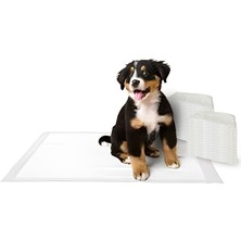 Feyza Design Yatak Koruyucu Örtü ve Çiş Pedi Seti, 60X90CM, 30 Adet