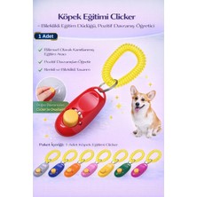 Feyza Design Köpek Eğitim Clicker Bileklikli Pozitif Davranış Öğretici