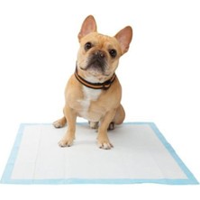 Feyza Design Yüksek Emimli Kedi ve Köpek Çiş Pedi, Konforlu ve Güvenli Kullanım