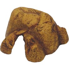 Hagen Exoterra Storozal Exo Terra Sürüngen Mağarası (L)