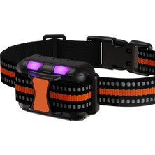 Feyza Design Köpek Eğitim Tasma Seti, Elektronik Tasma ve Kayış ile Güvenli Kullanım