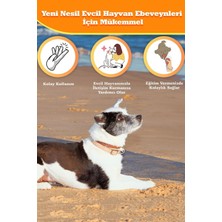 Feyza Design Köpek Eğitim Clicker ve Uyarıcı Anahtarlık Seti, Konforlu Boyun Tasması