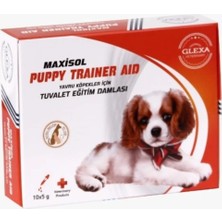 Feyza Design Yavru Köpekler Için Tuvalet Eğitim Damlası, Güvenli ve Etkili Kullanım