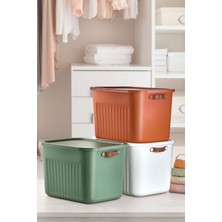 PremiumPort 3'lü 15LT Plastik Saklama Kutusu Seti, Renkli ve Şık Depolama Çözümü