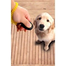 Feyza Design Renkli Köpek Eğitim Clicker ile Eğlence ve Iletişim Kolaylığı