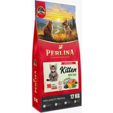 Perlina Yavru Kedi Balık 12KG
