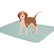 Feyza Design Sıvı Geçirmez, Yıkanabilir Köpek Koruyucu Örtü 75X85 cm