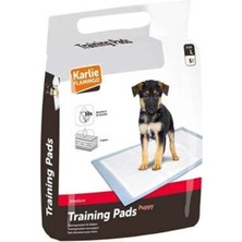 Feyza Design Yüksek Kalite Köpek Eğitim Pedi Large 5'li 90X60 cm Seti