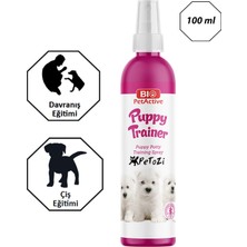 Feyza Design Yavru ve Genç Köpekler Için Tuvalet Eğitimi Spreyi, Pratik Kullanım