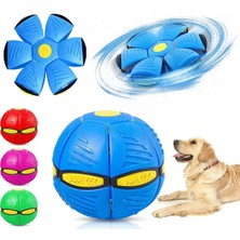 Feyza Design Parlak Işıklı Zıplayan Top Evcil Hayvan Oyunu Eğlencesi