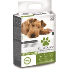 Feyza Design Yavru Köpek Çiş Eğitim Pedleri 90X60CM 10'lu Set, Konfor ve Temizlik