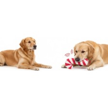 Feyza Design Sesli Baston Şeker Oyuncak, Renkli ve Eğlenceli Çocuk Oyuncağı