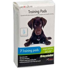 Feyza Design Köpek Tuvalet Pedi 60X60CM, 7'li Paket, Temiz ve Konforlu Kullanım