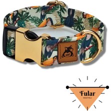 Feyza Design Renkli ve Şık Köpek Boyun Tasması, Rahat ve Güvenli Tasarım