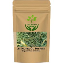 Tan Organik At Kuyruğu (Kırkkilit Otu) Equisetum Arvense 25GR