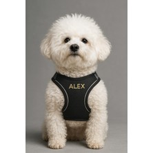 Feyza Design Kişiye Özel Airmesh Göğüs Tasması, Konforlu ve Şık Tasarım