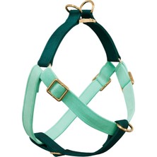 Feyza Design Konforlu ve Şık Köpek Göğüs Tasması, Güvenle Kullanım Için Tasarlandı