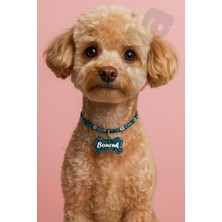 Feyza Design Çiçek Desenli Ayarlanabilir Köpek Tasması, Şık ve Rahat Kullanım