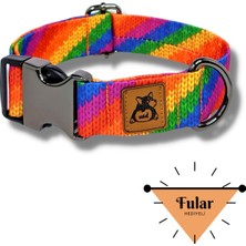 Feyza Design Renkli Köpek Boyun Tasması, Yumuşak ve Konforlu Tasarım