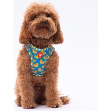 Feyza Design Hafif ve Rahat Air-Mesh Göğüs Tasması, Kediler ve Köpekler Için Ideal