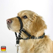 Feyza Design Köpek Eğitim Tasması Maxi Coach 38 Cm, Güçlü ve Konforlu Tasarım