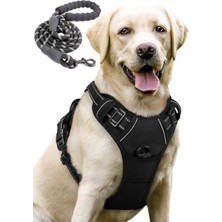 Feyza Design Reflektörlü Köpek Tasması ve Halatı Seti Orta Büyük Irk Yürüyüş & Eğitim