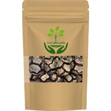 Tan Organik Servi Kozalağı (Cupressus Sempervirens) 100GR