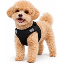 Feyza Design Esnek ve Rahat Siyah Köpek Tasması, Airmesh Göğüs Tasması