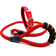 Feyza Design Kırmızı Reflektörlü Köpek Gezdirme ve Boyun Tasması Seti, Rahat ve Güvenli Kullanım