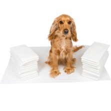 Feyza Design Yumuşak ve Güvenli Kedi Köpek Çiş Pedi 60X90 cm 30'lu Paket